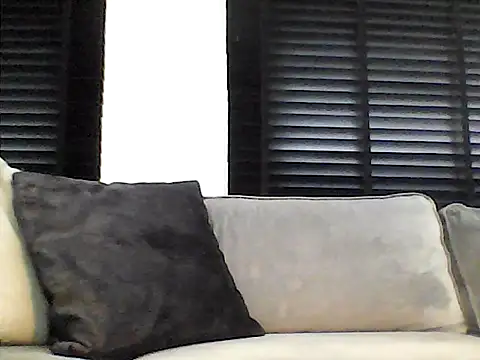 perlados webcam