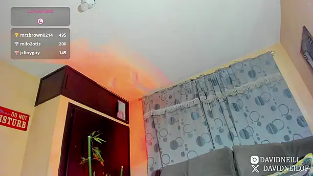 DavidNeill webcam