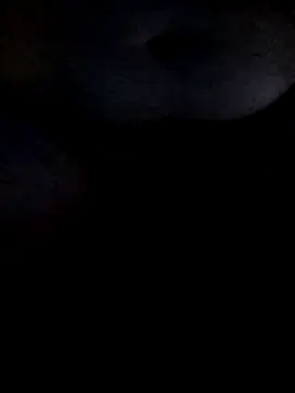 Leocesar37 webcam