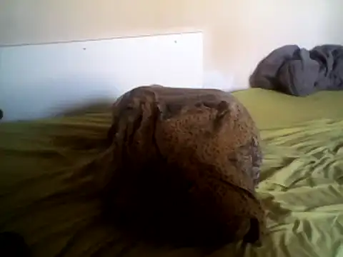 MattedOdobenus webcam