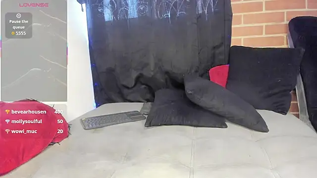 DavidX_X21_Strip webcam
