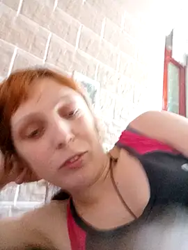 Ponka2011 webcam