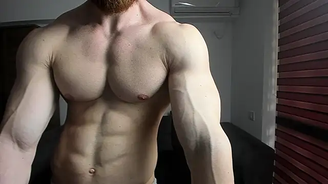 ZkkBlitz webcam
