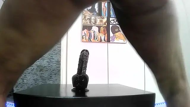 BaDSubMiss webcam