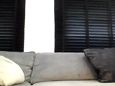 perlados webcam