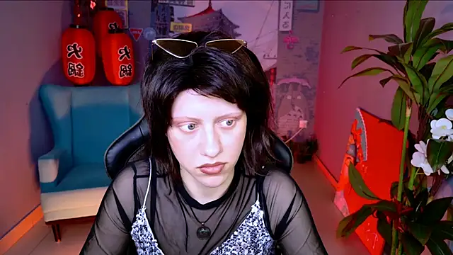 LidaDarknet webcam