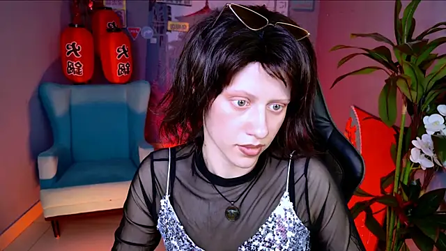 LidaDarknet webcam