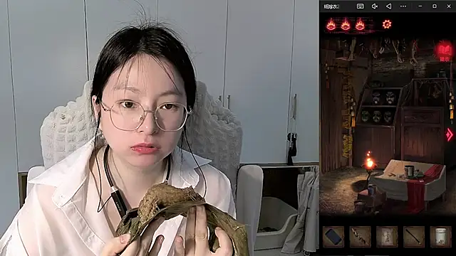 Erya-369 webcam