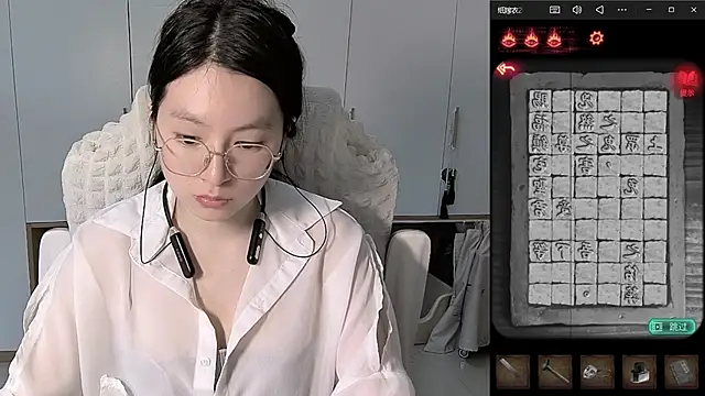 Erya-369 webcam
