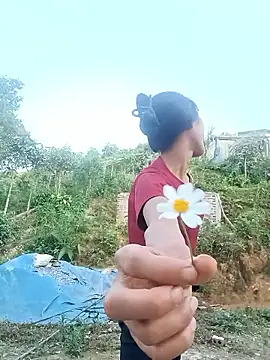 Hoa-tuylip webcam