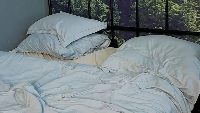 uwu_Lisa webcam