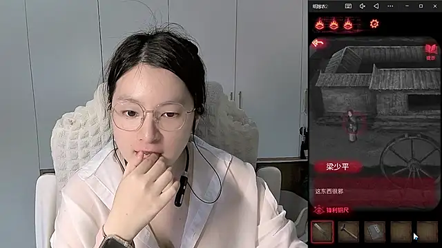 Erya-369 webcam