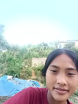 Hoa-tuylip