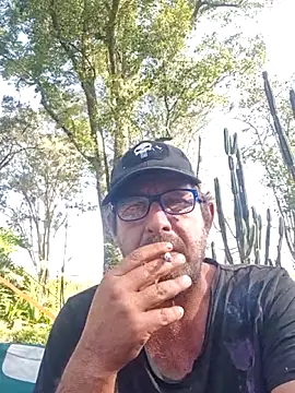 TryingWind webcam