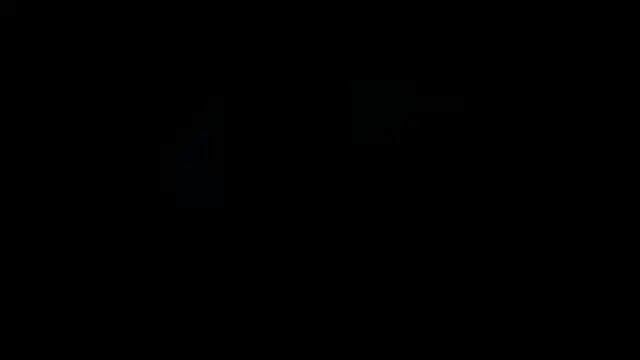 VincentSavage webcam