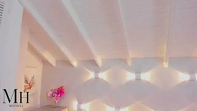 MizzHell webcam