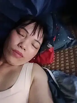 Sana-vn webcam