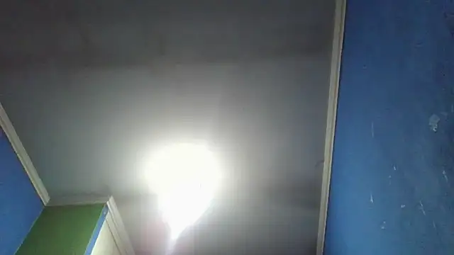 Soylilayblue webcam