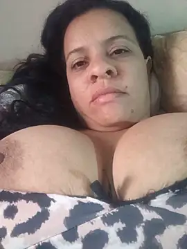 lapatronav2026 webcam