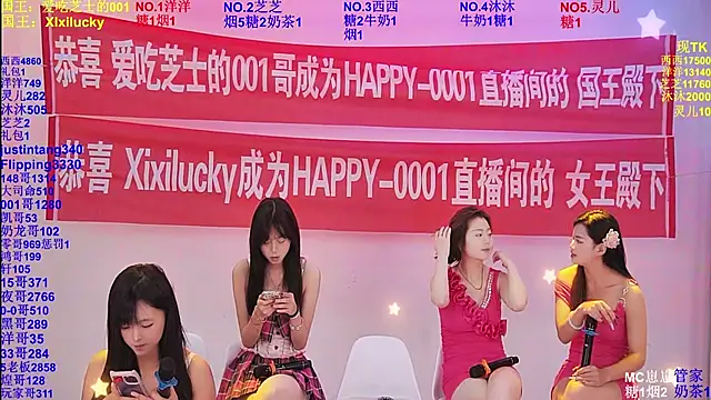 HAPPY-0001 webcam