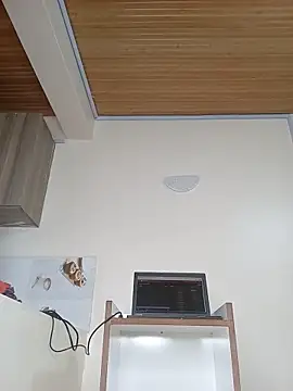 Charmy_S webcam