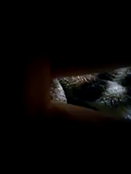 JJBATS webcam