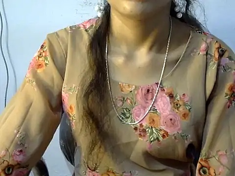 Mehaak_ webcam