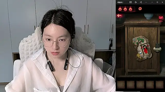 Erya-369 webcam