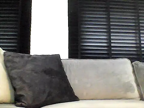 perlados webcam