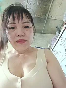 Sana-vn webcam