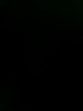 Axelitoc webcam