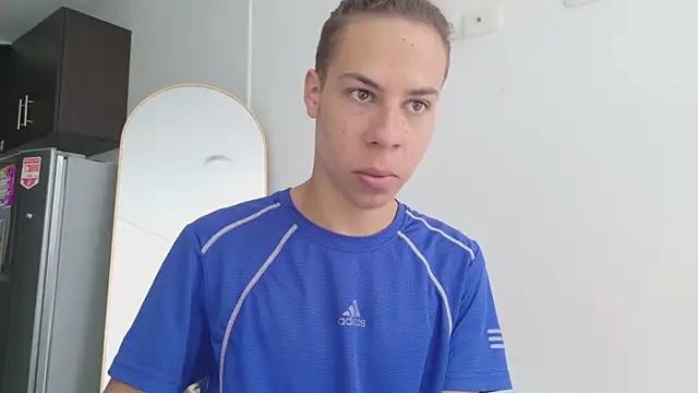 grey___27 webcam