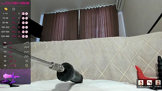 EvaDream webcam