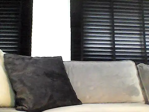 perlados webcam