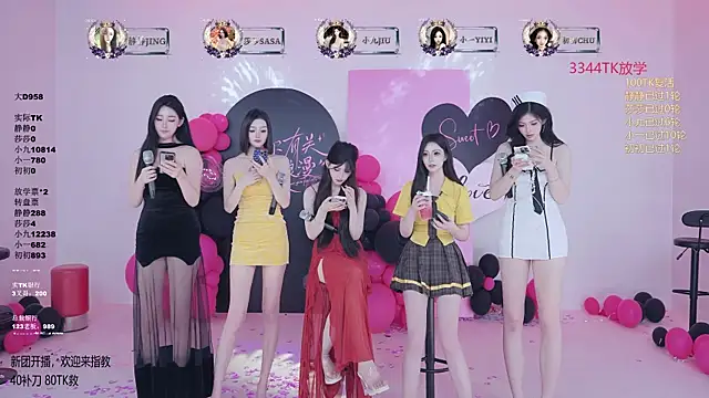 TY-002 webcam
