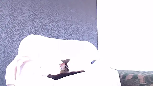 Freyja_eter webcam
