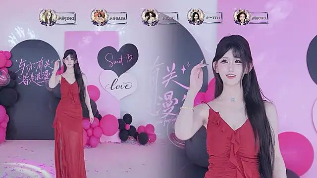 TY-002 webcam