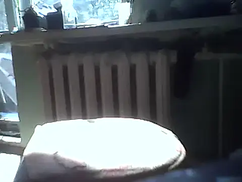 A1B3- webcam