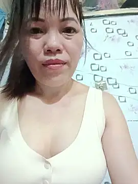 Sana-vn webcam