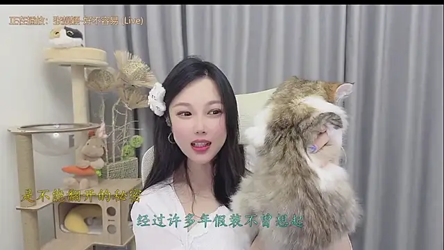 facai-feifei webcam