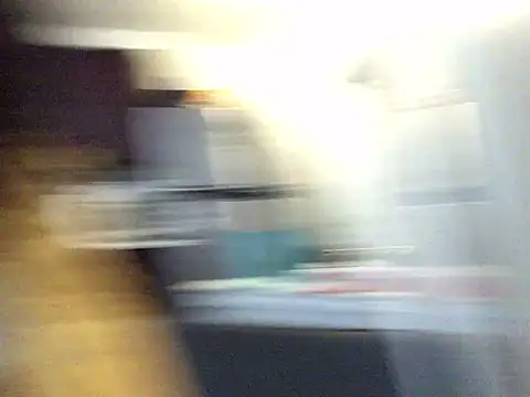 littyleesh1 webcam