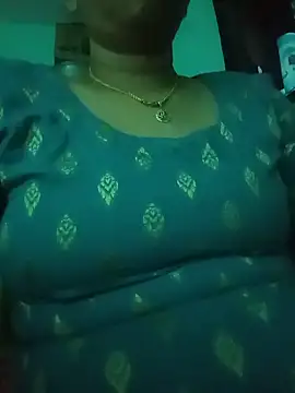 Hansikatelugu webcam