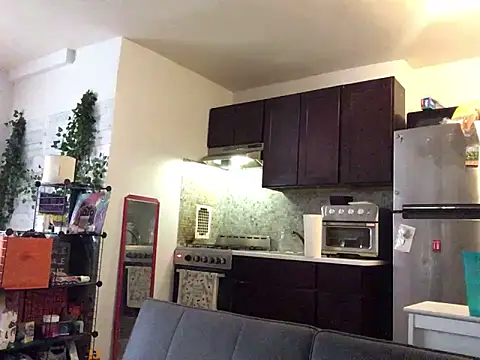 littyleesh1 webcam
