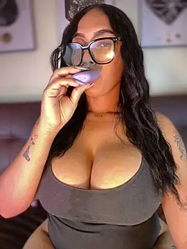 MaverickGray webcam