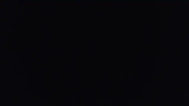 yourvibedealer webcam