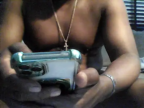 perlados webcam