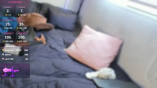 james_lincoln webcam