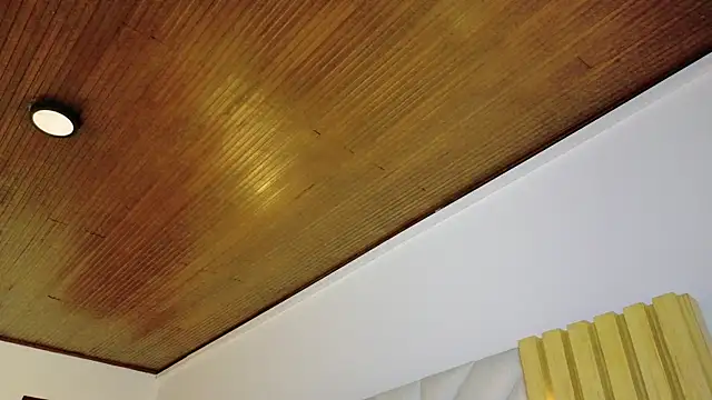Anaise_latif webcam