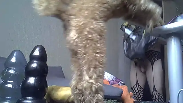 FISTCAMM webcam
