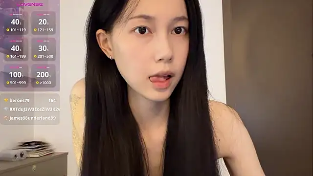 DD-5200 webcam